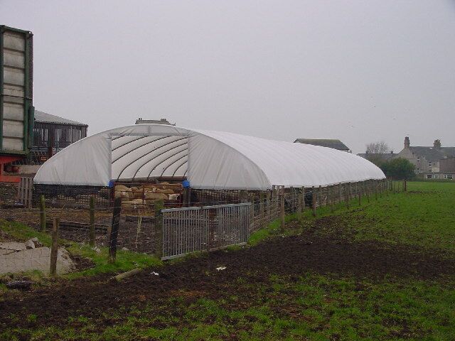 Camping Sheep. Protection and ease of access for the farmer!