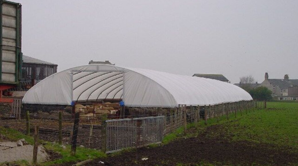 Camping Sheep. Protection and ease of access for the farmer!