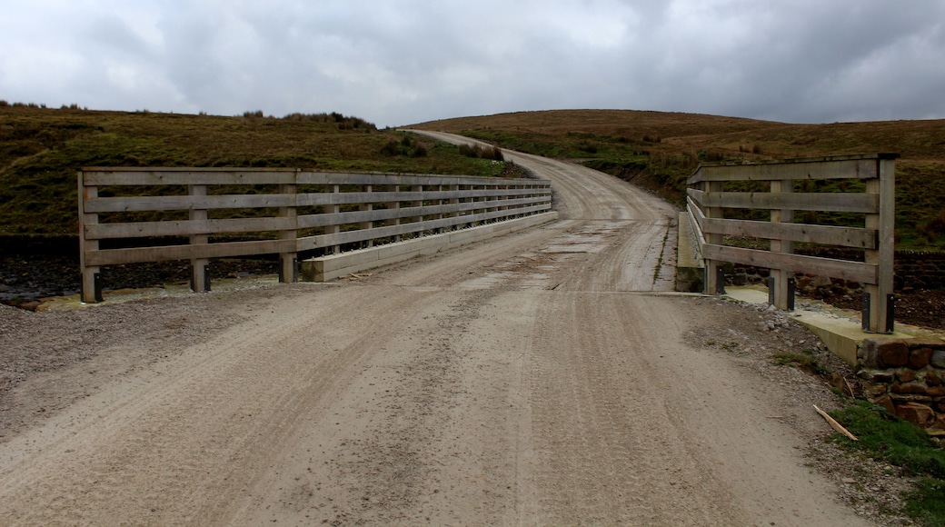 Bridge over Gayle Beck. This bridge carries the Dales Way over Gayle Beck. It replaces an earlier footbridge - a long narrow structure only negotiable to pedestrians. This substantial piece of carpentry needs to withstand the passage of heavy laden logging trucks, to allow access from the forest plantations on Cam Fell and Greenfield onto the B6255. In the process this excellent portion of the Dales Way has been ruined - will it ever be restored to its former glory once the trees have all been removed? The Pennine Bridleway has also been channelled this way.