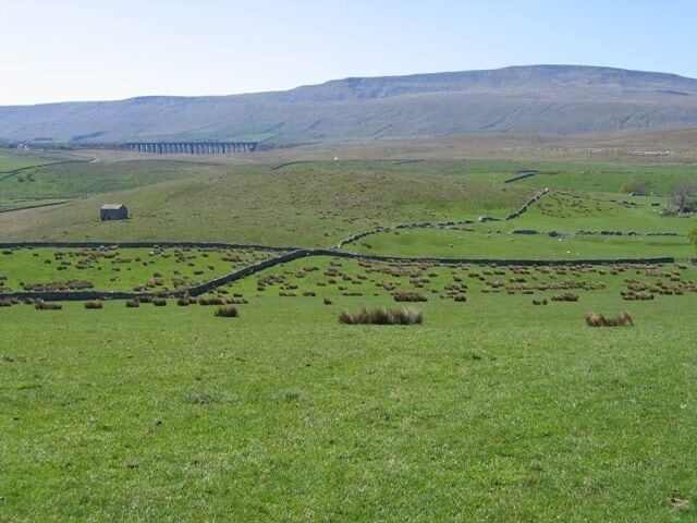 A green field with scattered sheep, a stone wall, and a distant bridge.