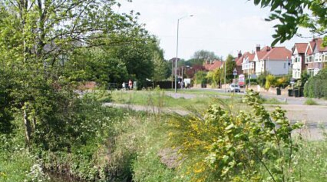 Ouse Dyke from Conway Road The water is remarkably clear considering that this stream drains the landfill site on the former Gedling Colliery waste tip.