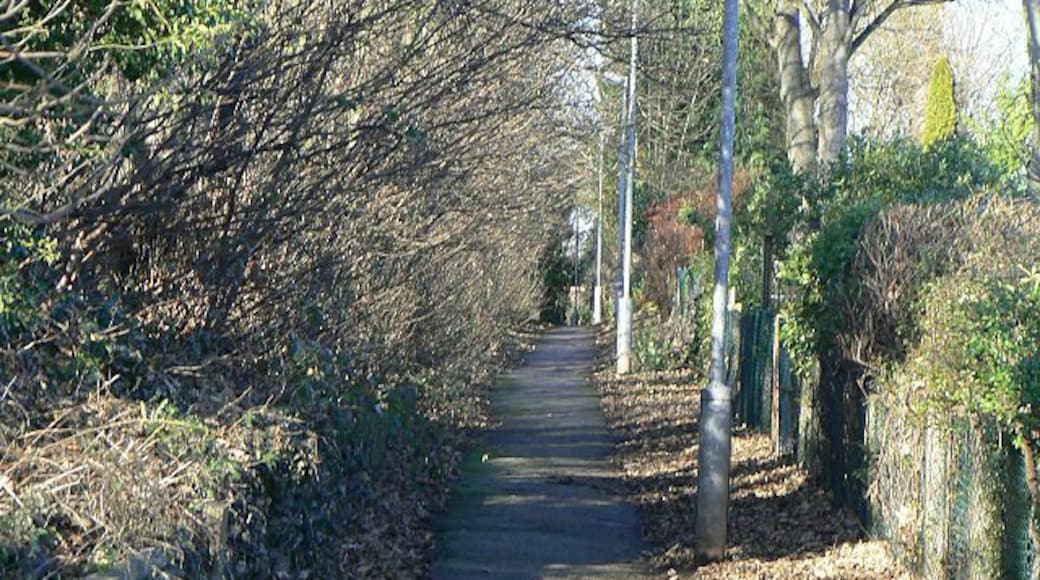 Footpath to Wood Lane This footpath squeezes between the former railway embankment and Coronation Walk.