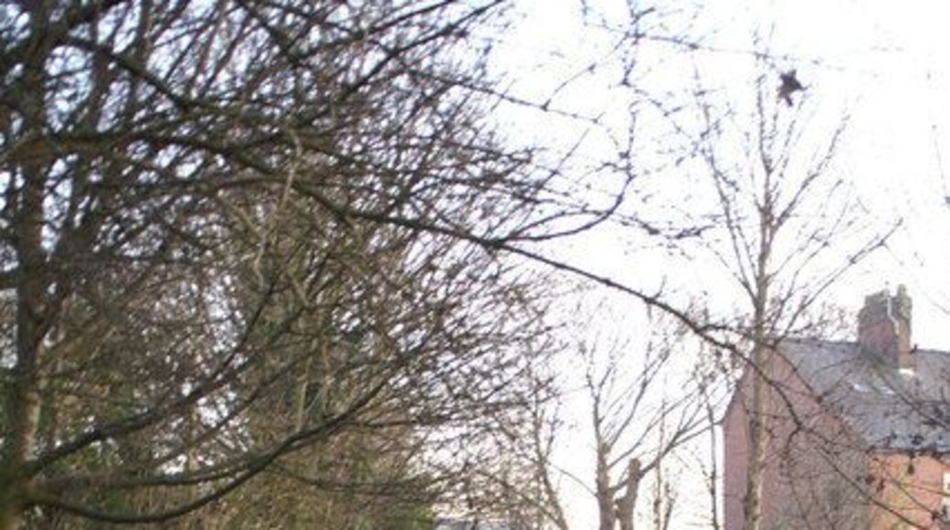 Millingford Way, Golborne The view back towards the A573.