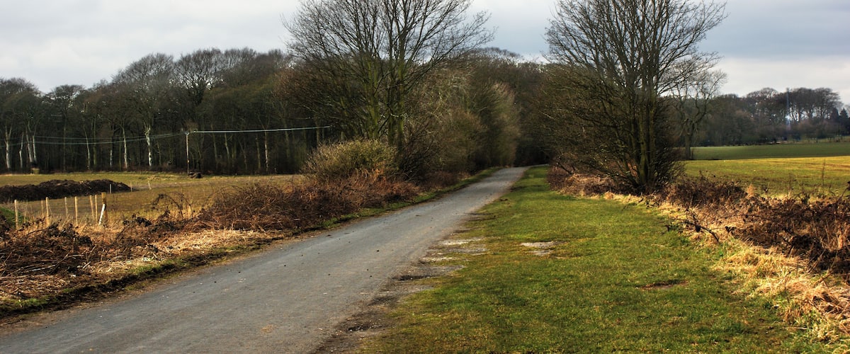 Sandy Lane A backdoor route to Haydock Park Racecourse?