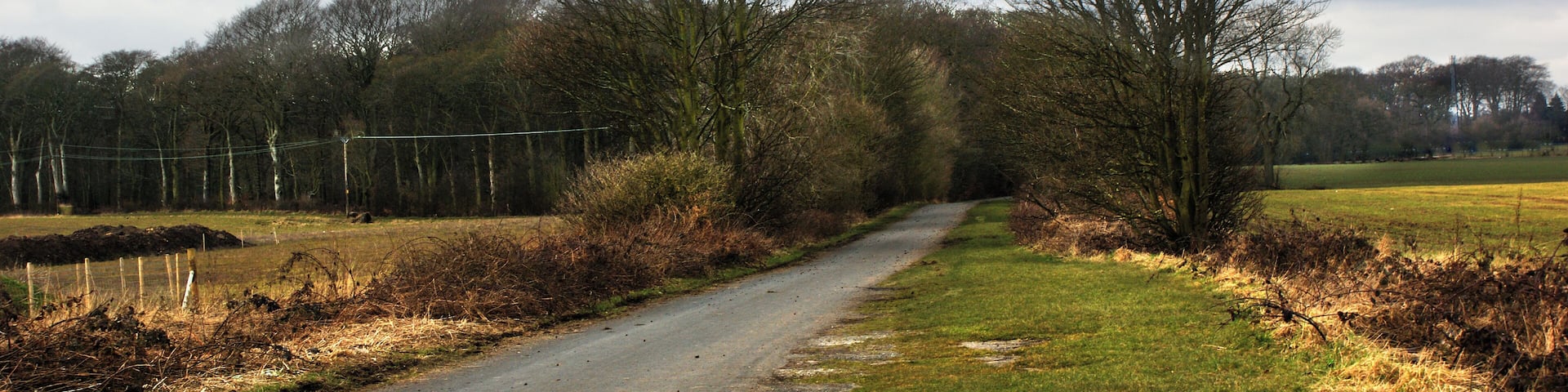 Sandy Lane A backdoor route to Haydock Park Racecourse?