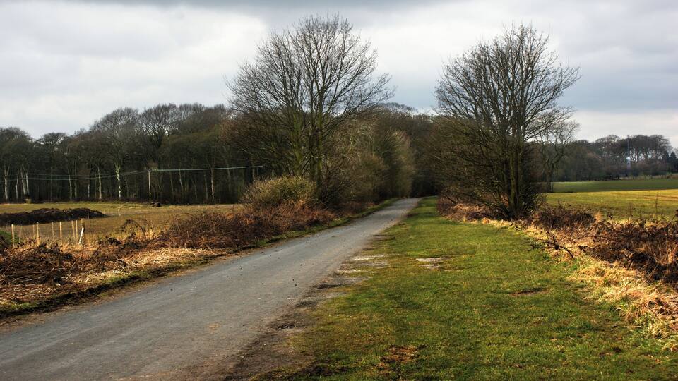 Sandy Lane A backdoor route to Haydock Park Racecourse?