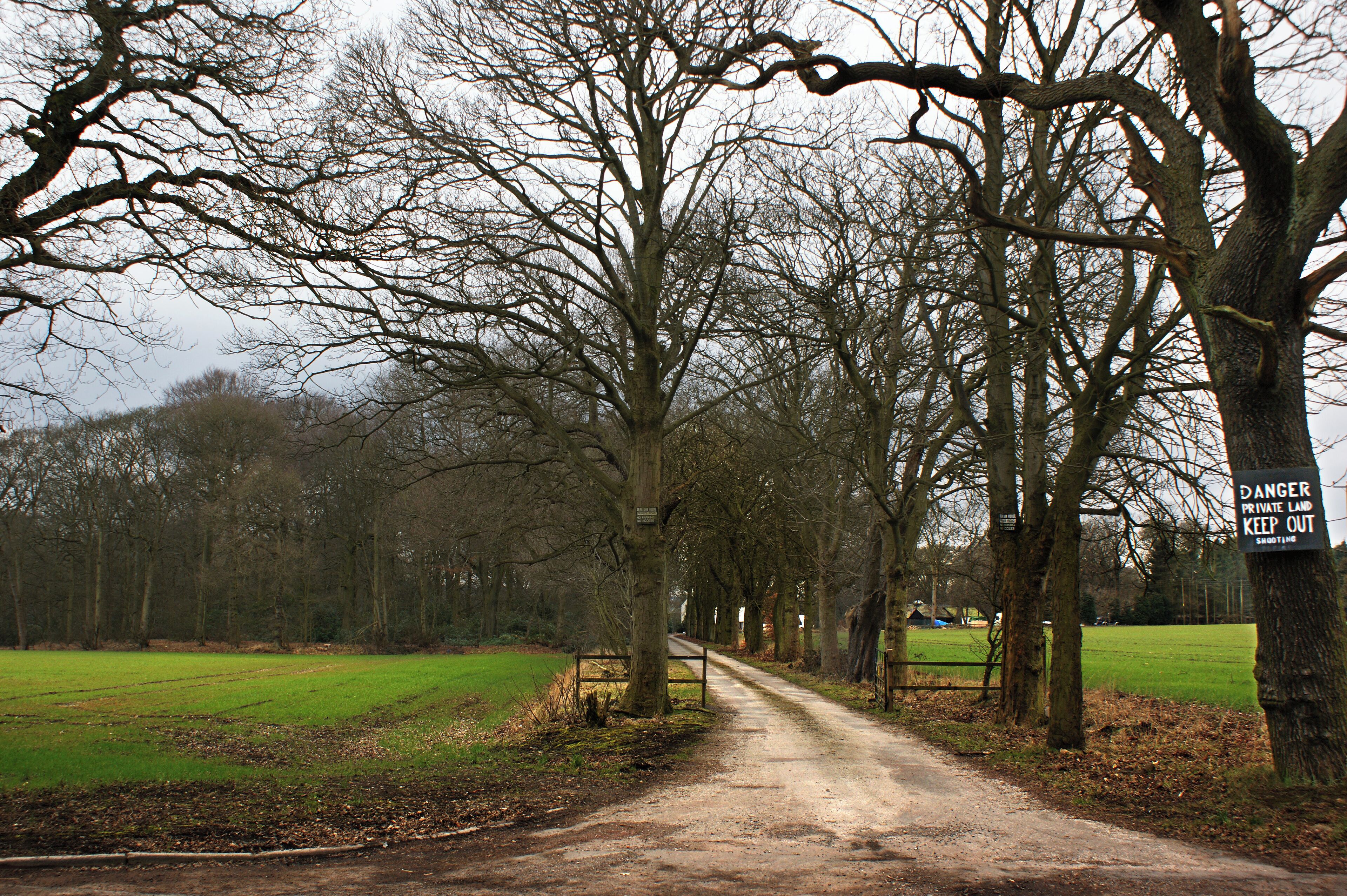 The track to Dean Dane farm