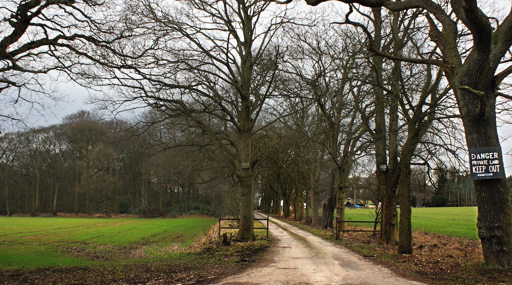 The track to Dean Dane farm