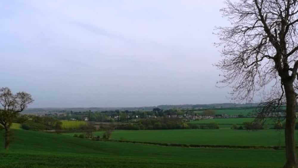 A rural landscape with rolling green fields, a stone wall, and a leafless tree.