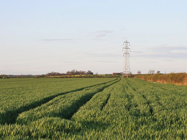 Farmland near Plungar. Winter wheat growing away strongly after some warm spring weather.