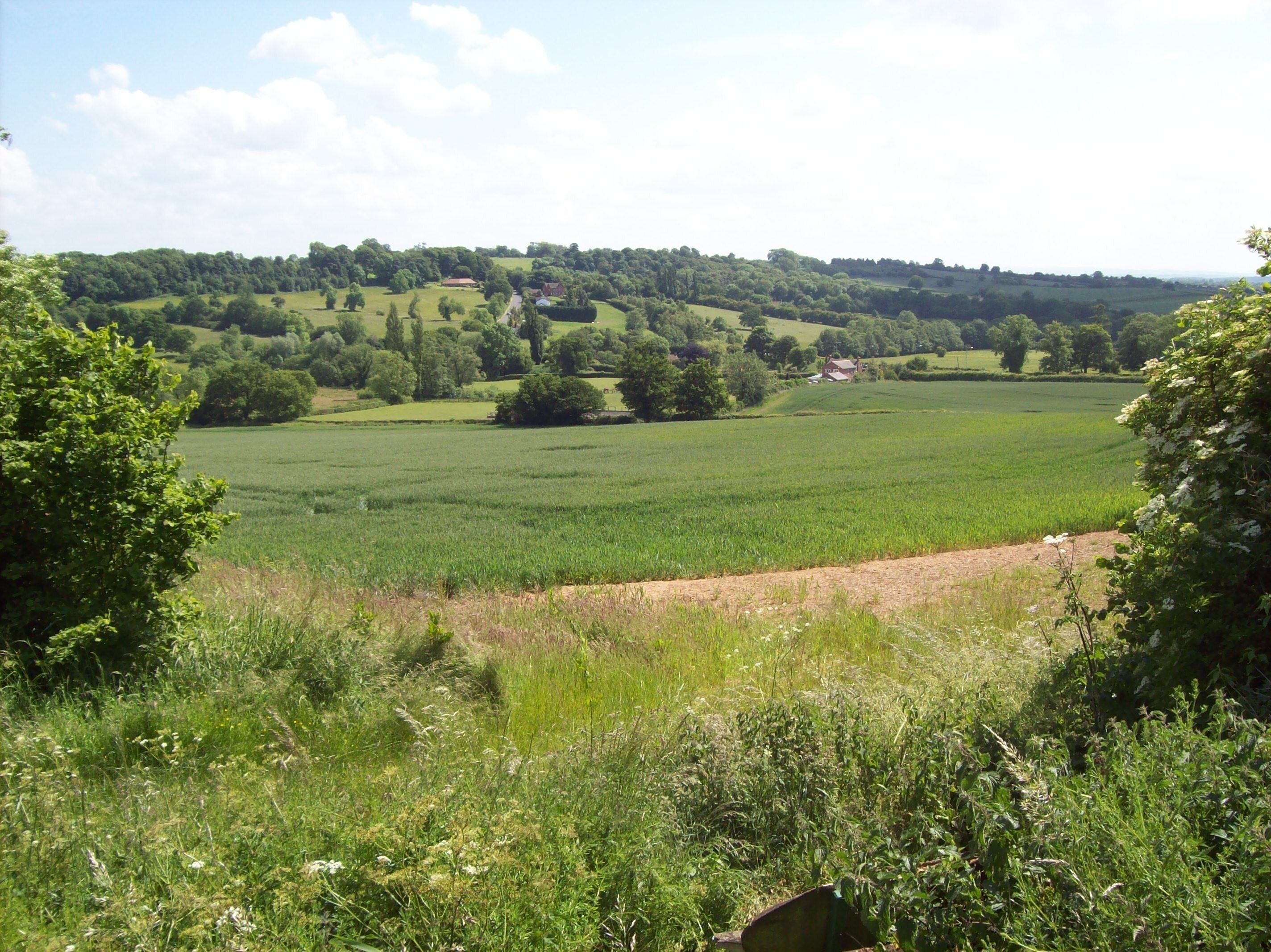 Fields and B600, Greasley Over the fields looking towards the B600 looping towards Watnall.