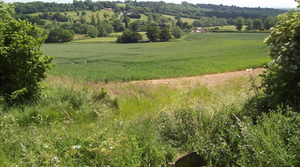 Fields and B600, Greasley Over the fields looking towards the B600 looping towards Watnall.