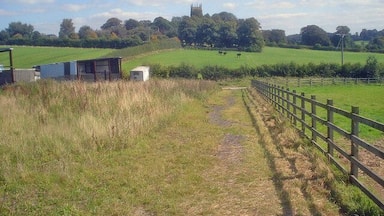 Greasley