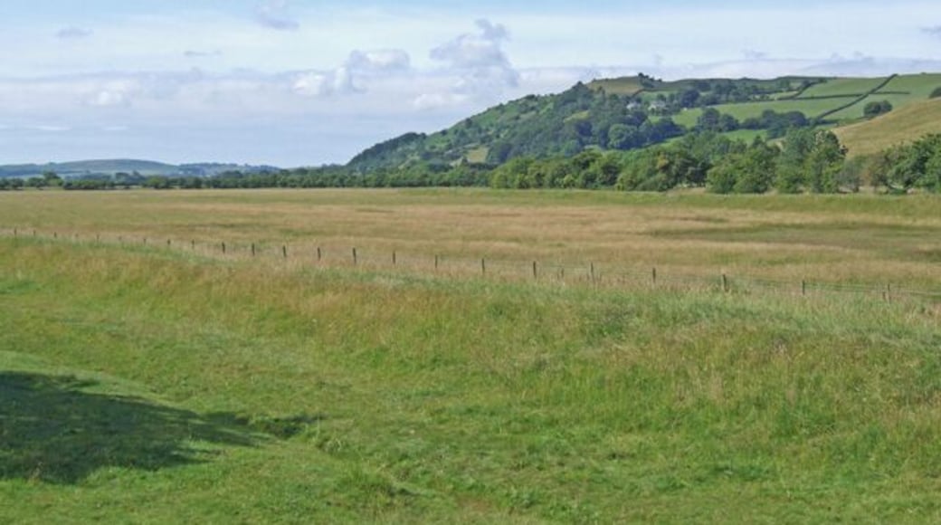 Near the Barrow road Farmland between the River Leven and the road to Barrow in Furness