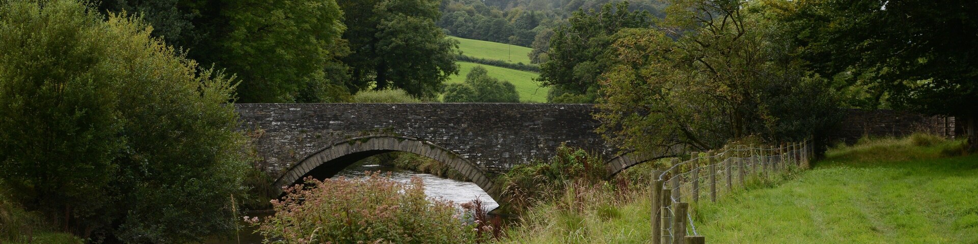 A stone bridge over a river, surrounded by lush greenery and trees.