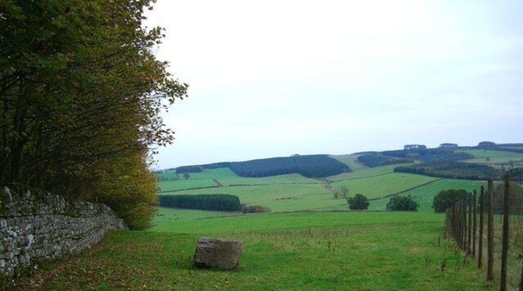 Farmland on the Lowther Estate