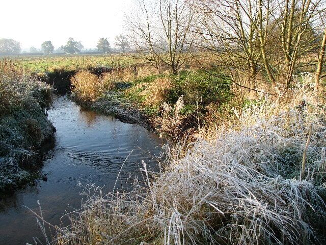 A narrow water channel with frost-covered vegetation and trees in the background.