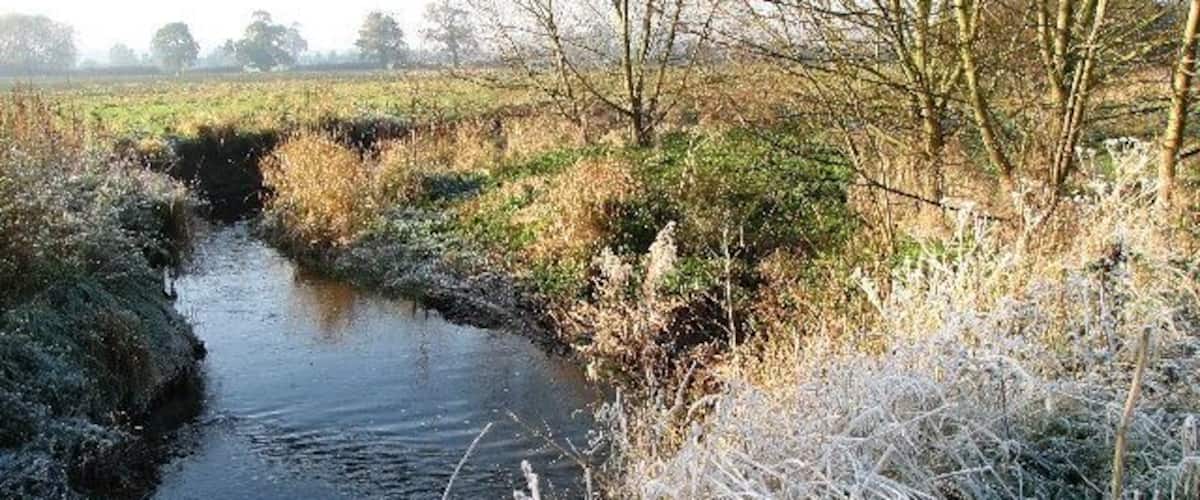 A narrow water channel with frost-covered vegetation and trees in the background.