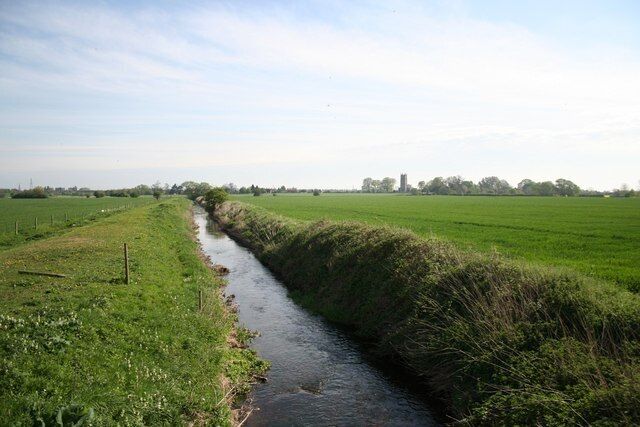Car Dyke. Early summer view along Car Dyke towards Hawton, contrast with 120420
