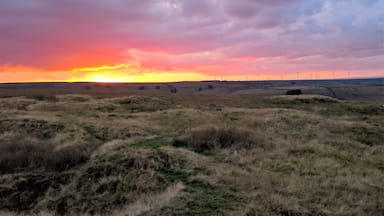 A sunset over a grassy field with wind turbines in the distance.