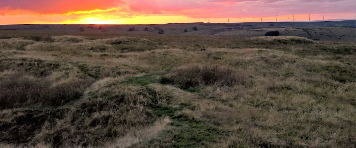 A sunset over a grassy field with wind turbines in the distance.