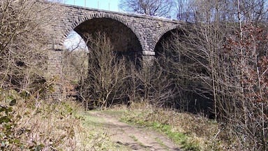 An old stone bridge with two arches surrounded by trees and bushes.