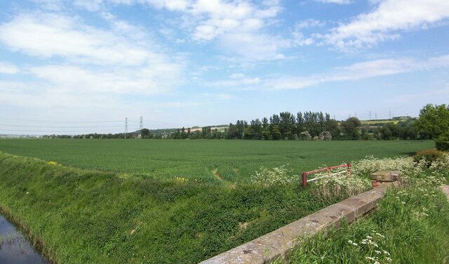 Horkstow Carrs Photo taken from the eastern end of Horkstow bridge.