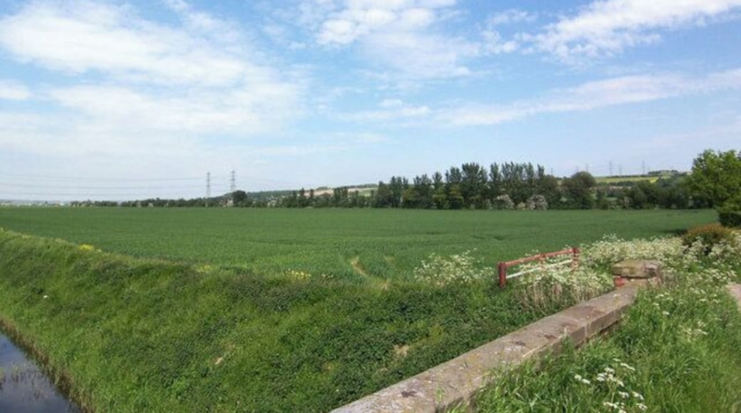 Horkstow Carrs Photo taken from the eastern end of Horkstow bridge.