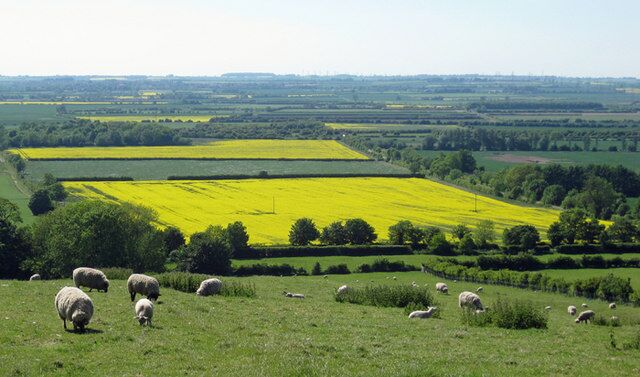 Rural Prospect near Horkstow Photo taken from a position near spot height 72m on Middlegate.