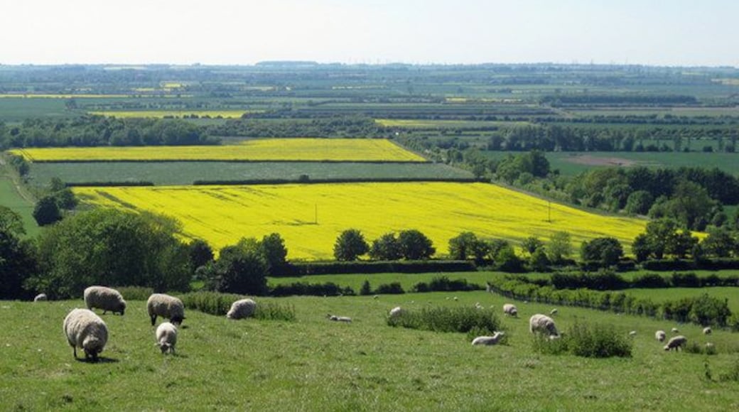 Rural Prospect near Horkstow Photo taken from a position near spot height 72m on Middlegate.