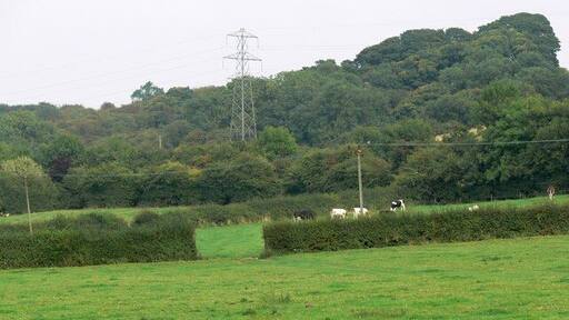 Farmland near Brock Hill Farm