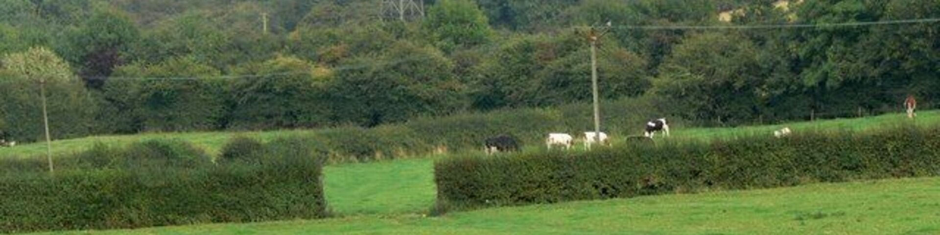 Farmland near Brock Hill Farm