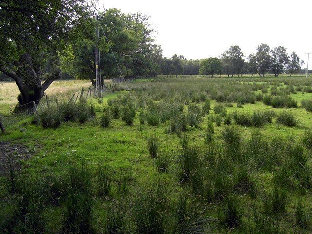 Across the Fields Across the fields towards Kirkconnel Flow nature reserve.http://www.nnr-scotland.org.uk/reserve.asp?NNRId=50