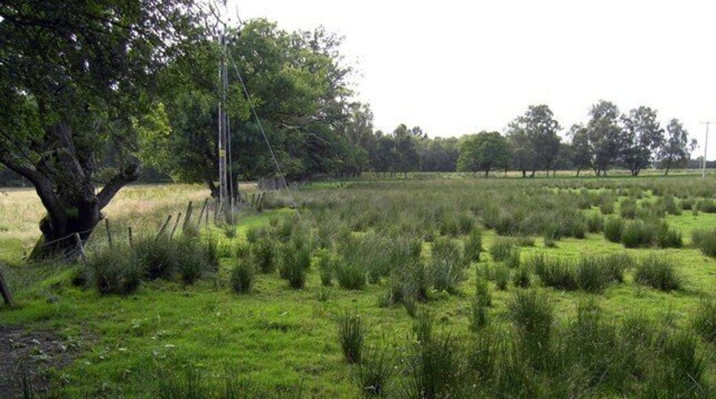 Across the Fields Across the fields towards Kirkconnel Flow nature reserve.http://www.nnr-scotland.org.uk/reserve.asp?NNRId=50