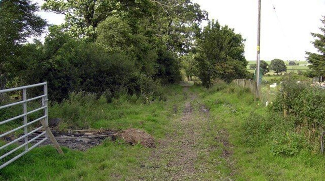 Short Track A short track at Gibbonhill Farm leading towards the River Nith.