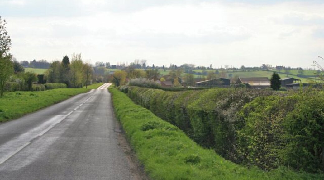 Bridegate Lane between Hickling and Hickling Pastures. Lincoln Lodge behind the hedge on the right and a small wood, Parson's Thorns, to the left.