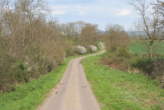 Green Lane near Hickling.