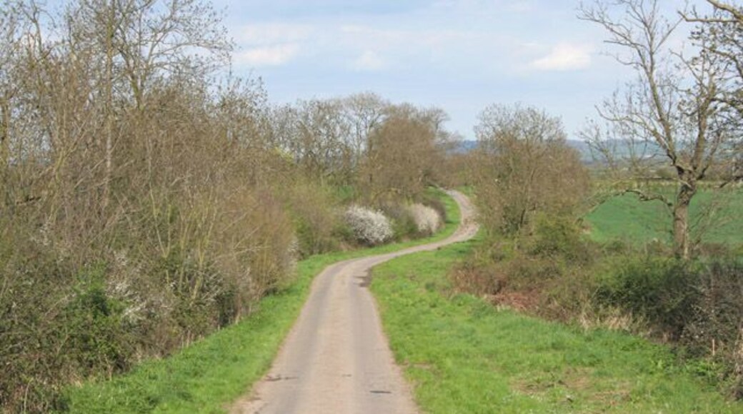 Green Lane near Hickling.