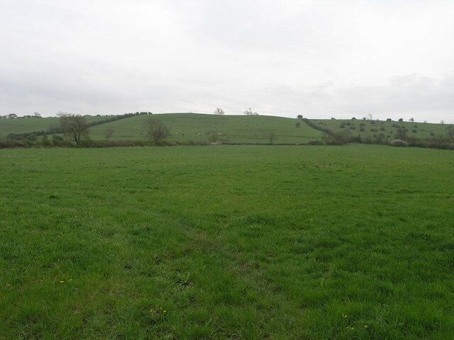 Trig Point in the Distance Standing at 105 metres this trig point is nearer to sea level than it is to the camera at 500 metres distant. Tricky to see at this quality but it appears halfway between the tree in the centre and the hedge to its left.