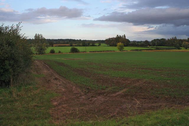 Farmland at Stoney Dale Looking northwards from Lodge Lane.