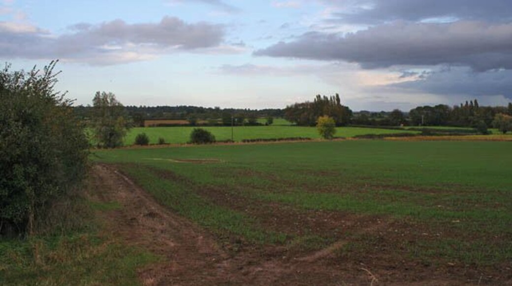 Farmland at Stoney Dale Looking northwards from Lodge Lane.