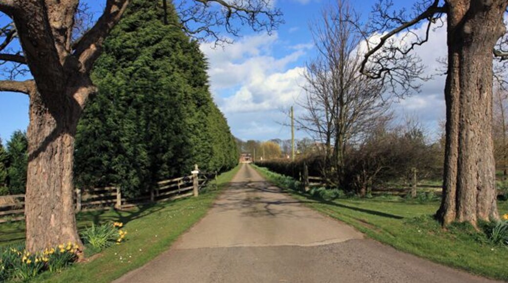 The lane to Ulrome Grange, Ulrome, East Riding of Yorkshire, England.