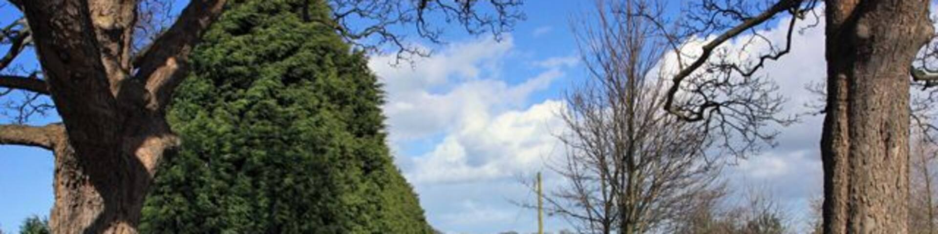 The lane to Ulrome Grange, Ulrome, East Riding of Yorkshire, England.