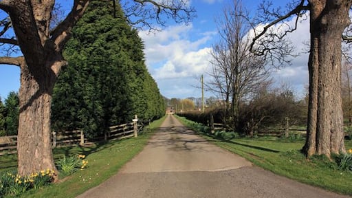 The lane to Ulrome Grange, Ulrome, East Riding of Yorkshire, England.