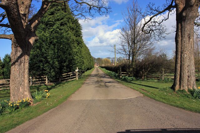 A rural road flanked by trees and a wooden fence.