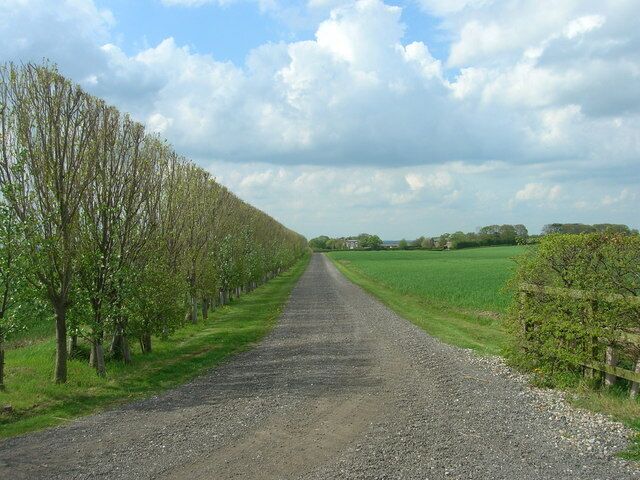 Farm Track towards Ulrome Grange, Ulrome, East Riding of Yorkshire, England.