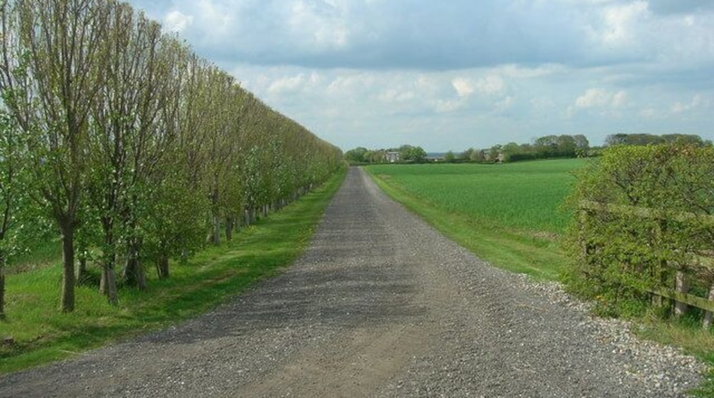 Farm Track towards Ulrome Grange, Ulrome, East Riding of Yorkshire, England.