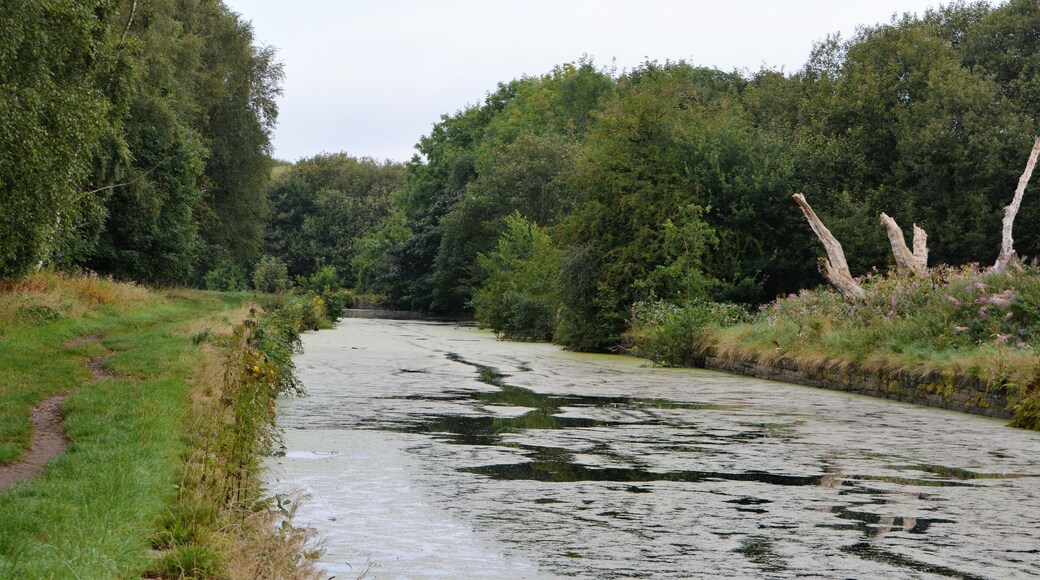 this is the end closest to nob end with the lightning struck tree