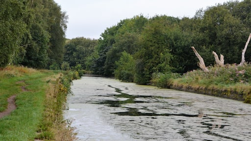 this is the end closest to nob end with the lightning struck tree