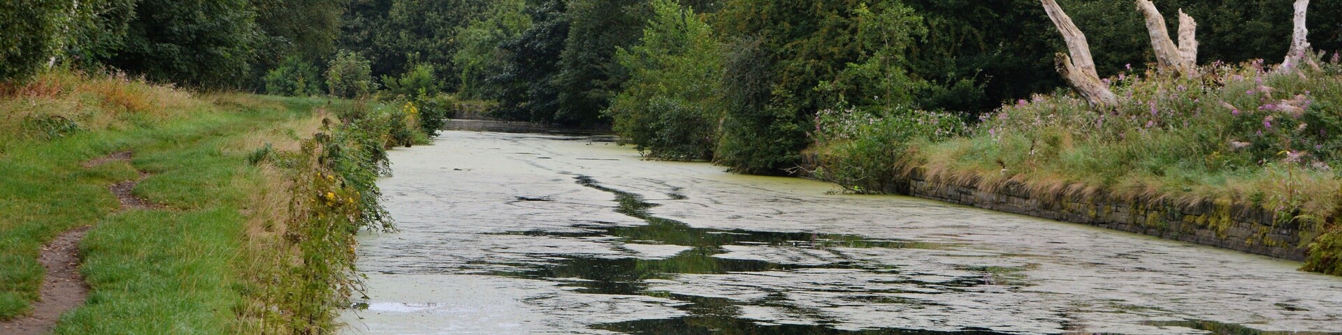 this is the end closest to nob end with the lightning struck tree